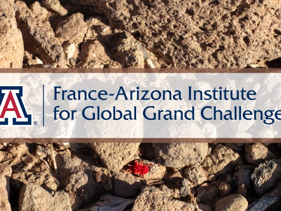 FA-Institute-with-Tumamoc-Red-Velvet-Mite